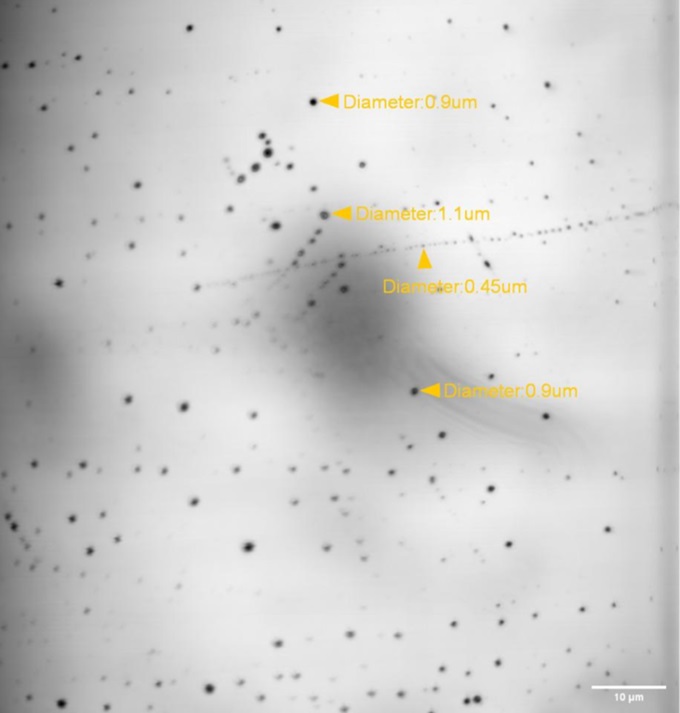 High-speed line scans 6-inch wafer surface inspection