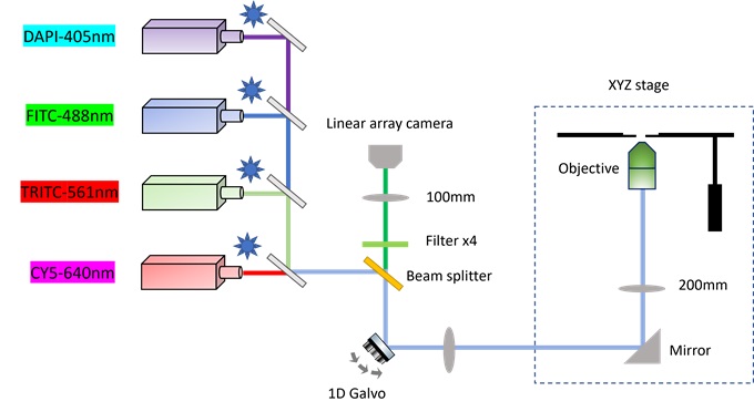 SIMSCOP_L_opticalpath