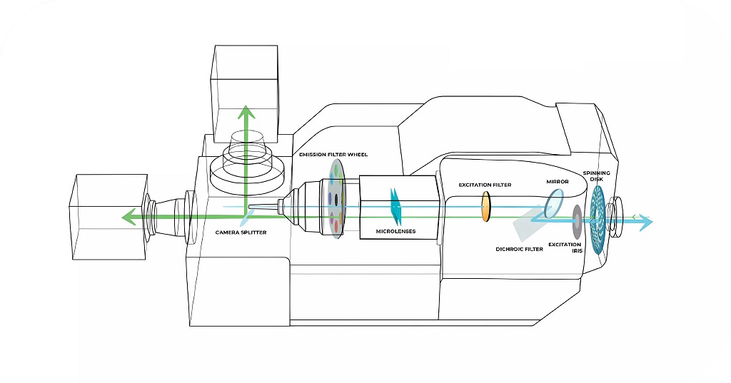 SIMSCOP_SpinDisk_A_Optical_Layout