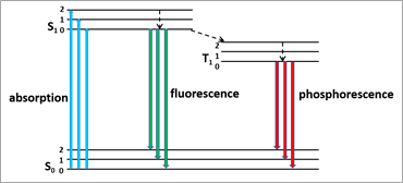 Time Correlated Single Photon Counting,Ultrafast optics,Avalanche Photodiode,Single Photon Counting Module,Time controller,Nanodiode www.simtrum.com